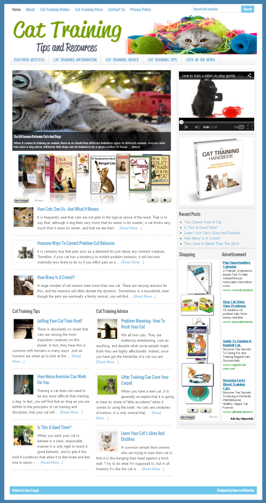 Cat Training Home Page